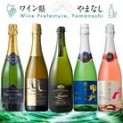 上質な泡を山梨から スパークリングワイン 5本セット