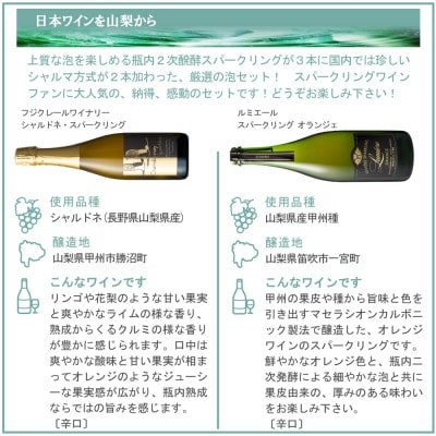上質な泡を山梨から スパークリングワイン 5本セット