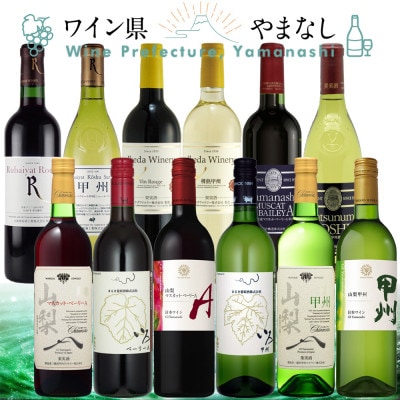 山梨ワイン 至極の12本セット