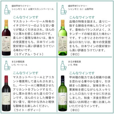山梨ワイン 至極の12本セット