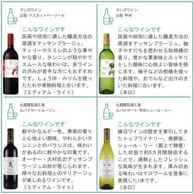 山梨ワイン 至極の12本セット