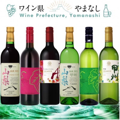 山梨の新酒 2025 飲み比べ 6本セット