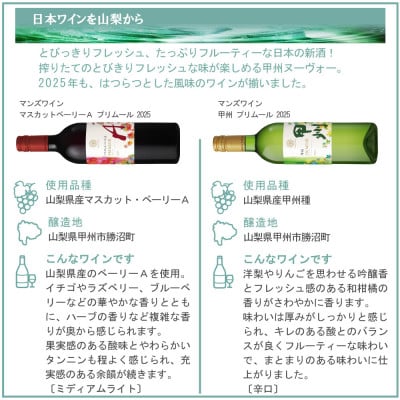 山梨の新酒 2025 飲み比べ 6本セット