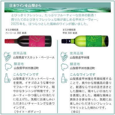 山梨の新酒 2025 飲み比べ 6本セット