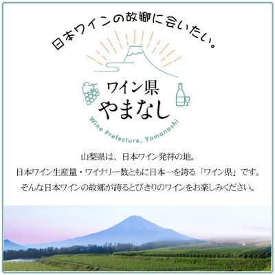 山梨の一升瓶ワイン 5本セット