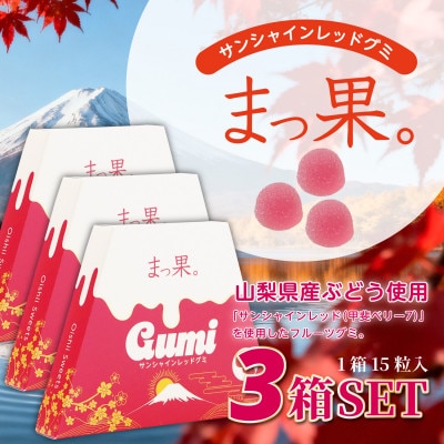まっ果。 サンシャインレッド グミ 3箱(各箱15粒入り) 山梨県オリジナル品種