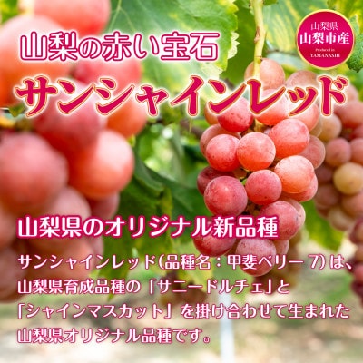まっ果。 サンシャインレッド グミ 3箱(各箱15粒入り) 山梨県オリジナル品種