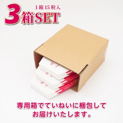まっ果。 サンシャインレッド グミ 3箱(各箱15粒入り) 山梨県オリジナル品種