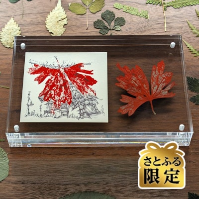 【さとふる限定】鈴木泰人|葉の記憶～植物版画とドローイング作品～