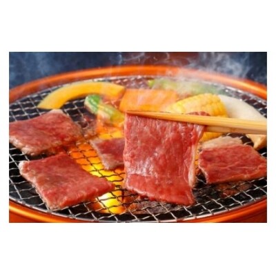 ※飛騨牛焼肉用もも・かた(赤身)肉400g  HNP-12