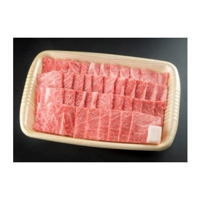 ※飛騨牛焼肉用飛騨牛肩ロース肉700g  HNP-07