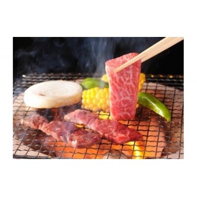 ※飛騨牛焼肉用飛騨牛肩ロース肉700g  HNP-07