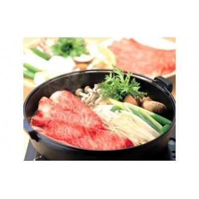 ※飛騨牛すき焼き用飛騨牛肩ロース肉700g　HNP-05