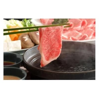 ※プレミアム(A5等級)飛騨牛しゃぶしゃぶ用(650g)  HNP-03