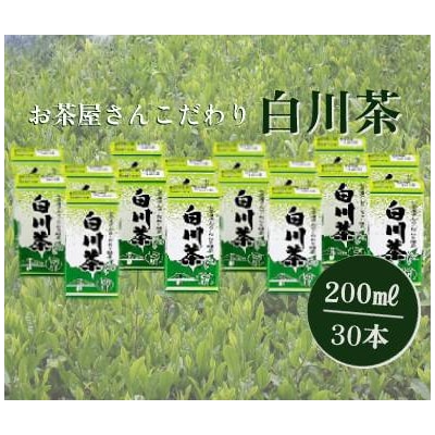 ※お茶屋さんこだわりの緑茶『白川茶紙パック』200ml×30本入