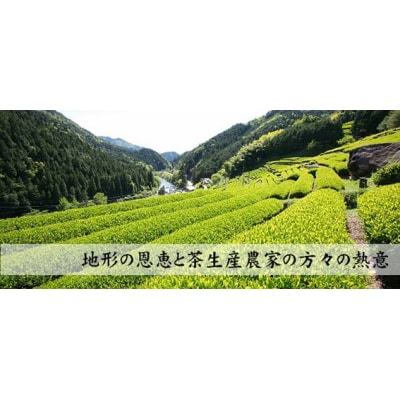 ※お茶屋さんこだわりの緑茶『白川茶紙パック』200ml×30本入