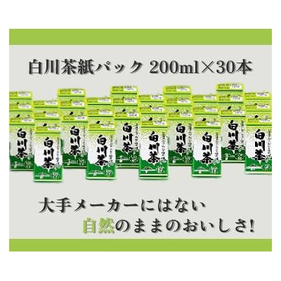 ※お茶屋さんこだわりの緑茶『白川茶紙パック』200ml×30本入