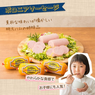 ※明方ハムギフト 明方ハム1本・ボロニアソーセージ1本・醤油フランク3本入 FSH-02