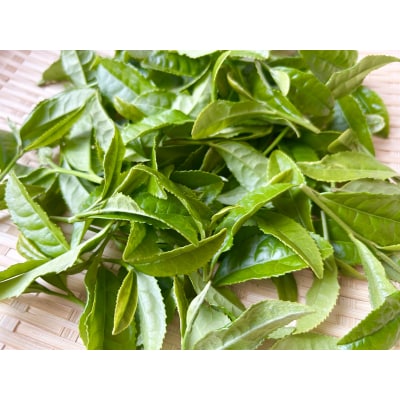 ※七宗のお茶農家さんが作ったお茶