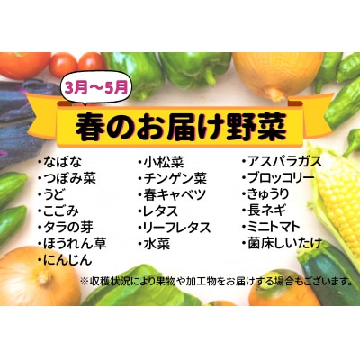 七宗町から発送　新鮮野菜詰めあわせセット(季節の野菜7～8種類) ※北海道・沖縄・離島への配送不可