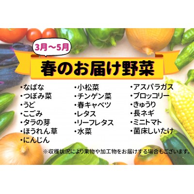 七宗町から発送　新鮮野菜詰めあわせセット(季節の野菜7～8種類)