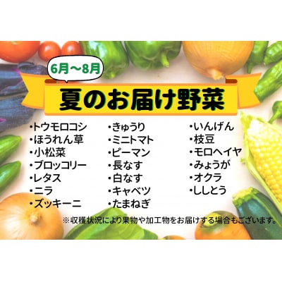 七宗町から発送　新鮮野菜詰めあわせセット(季節の野菜7～8種類) ※北海道・沖縄・離島への配送不可