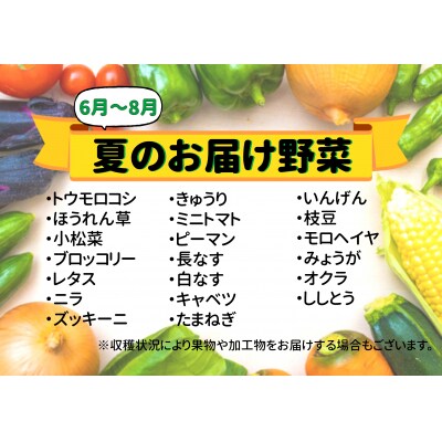 七宗町から発送　新鮮野菜詰めあわせセット(季節の野菜7～8種類)