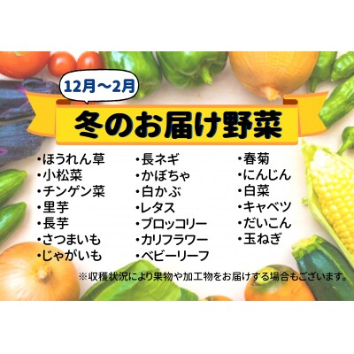 七宗町から発送　新鮮野菜詰めあわせセット(季節の野菜7～8種類)