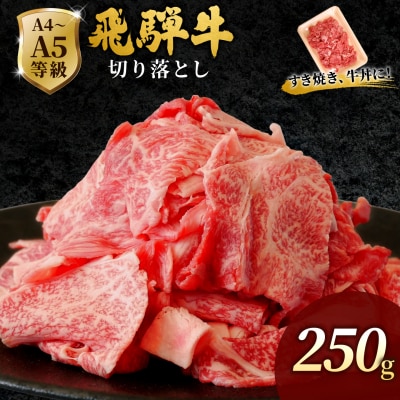 飛騨牛 切り落とし 250g すき焼き 牛丼 炒め物 訳あり 肉のひぐち