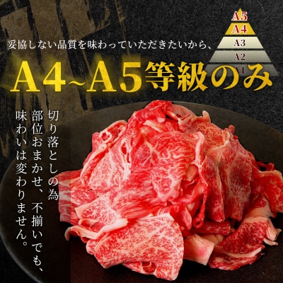 飛騨牛 切り落とし 250g すき焼き 牛丼 炒め物 訳あり 肉のひぐち