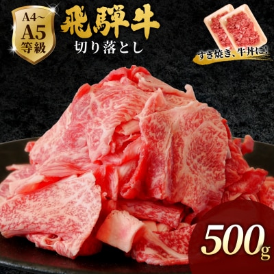 飛騨牛 切り落とし 500g(250g×2p) すき焼き 牛丼 炒め物 訳あり 肉のひぐち