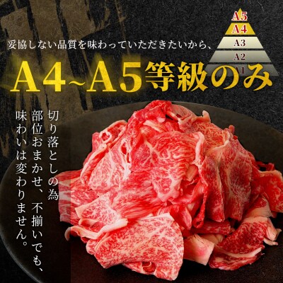 飛騨牛 切り落とし 500g(250g×2p) すき焼き 牛丼 炒め物 訳あり 肉のひぐち