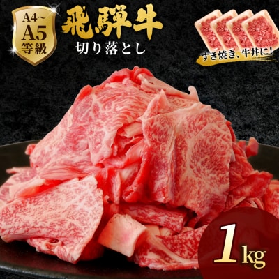 飛騨牛 切り落とし 1kg(250g×4p) すき焼き 牛丼 炒め物 大容量 肉のひぐち