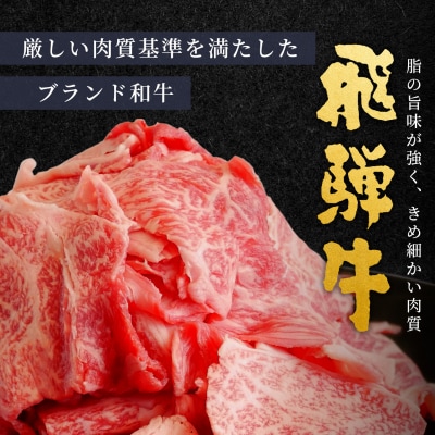飛騨牛 切り落とし 1kg(250g×4p) すき焼き 牛丼 炒め物 大容量 肉のひぐち
