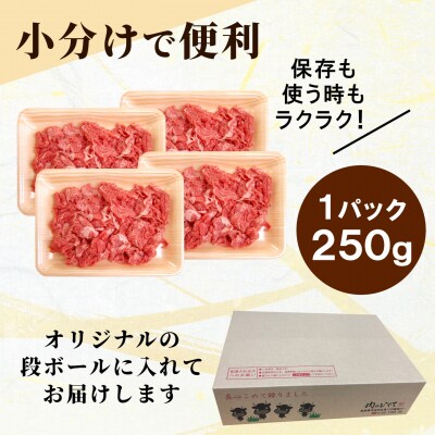 飛騨牛 切り落とし 1kg(250g×4p) すき焼き 牛丼 炒め物 大容量 肉のひぐち