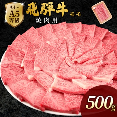 飛騨牛 もも 焼肉 500g BBQ 赤身 小分け 肉のひぐち
