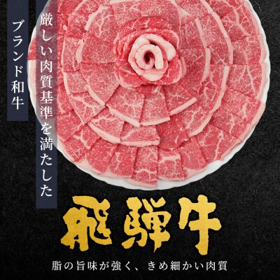 飛騨牛 もも 焼肉 500g BBQ 赤身 小分け 肉のひぐち
