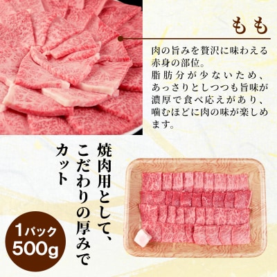 飛騨牛 もも 焼肉 500g BBQ 赤身 小分け 肉のひぐち