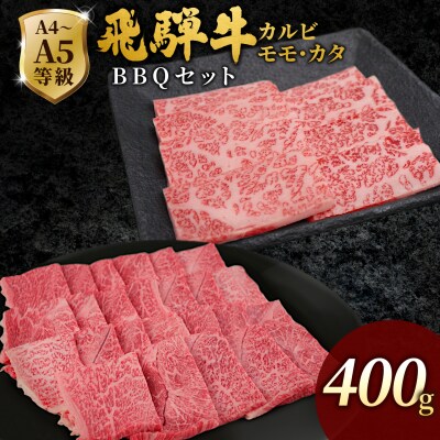 飛騨牛 BBQセット 計400g カルビ 200g+もも・カタ焼肉用 200g BBQ 肉のひぐち