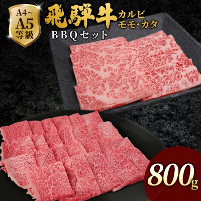 飛騨牛 BBQセット 計800g カルビ 400g +もも・カタ焼肉用400g 肉のひぐち