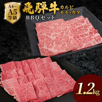 飛騨牛 BBQセット 計1.2kg カルビ 600g+もも・カタ焼肉用 600g BBQ 肉のひぐち