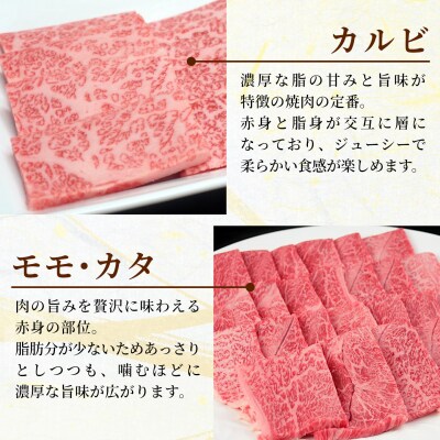 飛騨牛 BBQセット 計1.2kg カルビ 600g+もも・カタ焼肉用 600g BBQ 肉のひぐち