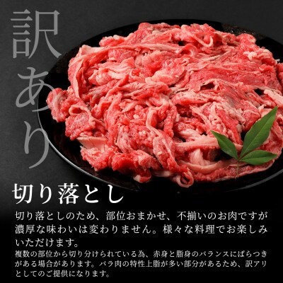 飛騨牛 切り落とし 280g すき焼き 牛丼 炒め物 訳あり 養老ミート