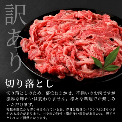 飛騨牛 切り落とし 700g すき焼き 牛丼 炒め物 訳あり 養老ミート