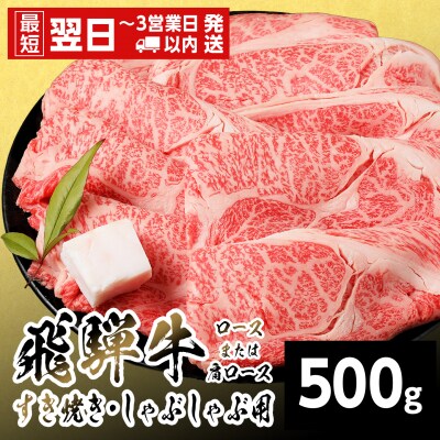 飛騨牛 ロースまたはカタロース 500g すき焼き しゃぶしゃぶ 養老ミート