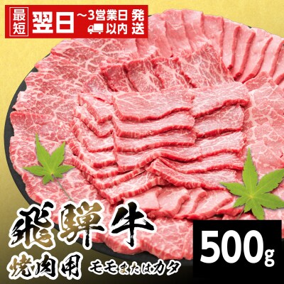 飛騨牛 モモまたはカタ 焼肉 赤身 500g BBQ 養老ミート