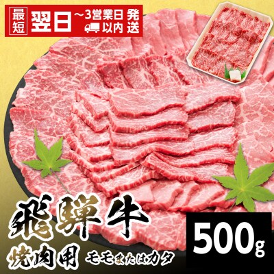 飛騨牛 モモまたはカタ 焼肉 赤身 500g BBQ 養老ミート