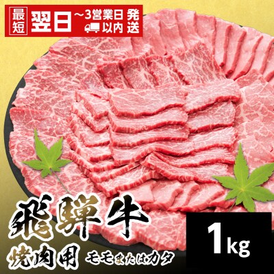飛騨牛 モモまたはカタ 焼肉 赤身 1kg BBQ 養老ミート
