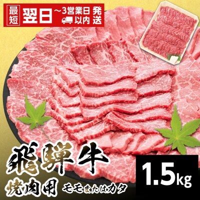 飛騨牛 モモまたはカタ 焼肉 赤身 1.5kg BBQ 養老ミート