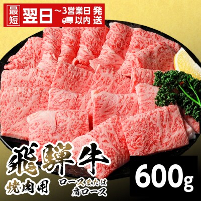 飛騨牛 ロースまたは肩ロース 焼肉用 600g BBQ 焼肉 養老ミート